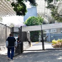 La enfermera Griselda murió por covid-19, no de neumonía