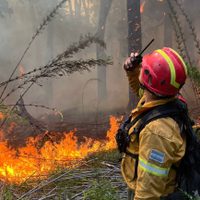 La angustia de una joven por el incendio en Brazo Tristeza: “No vengan más con esa irresponsabilidad”