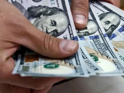 Efecto inflación: una carnicería del Conurbano anunció que aceptará dólares para sus ventas