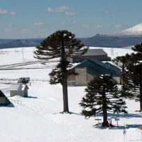 La Municipalidad de Zapala quiere reactivar el parque de nieve Primeros Pinos