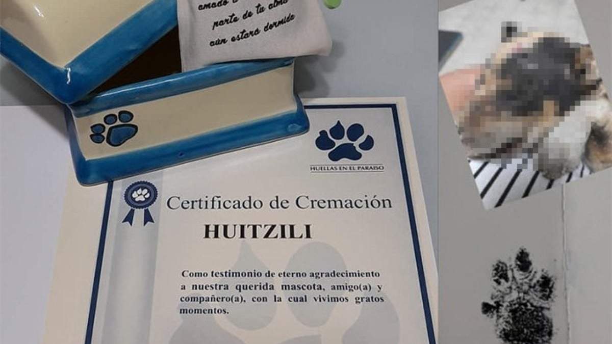 Hoja de cremación de Huitzili