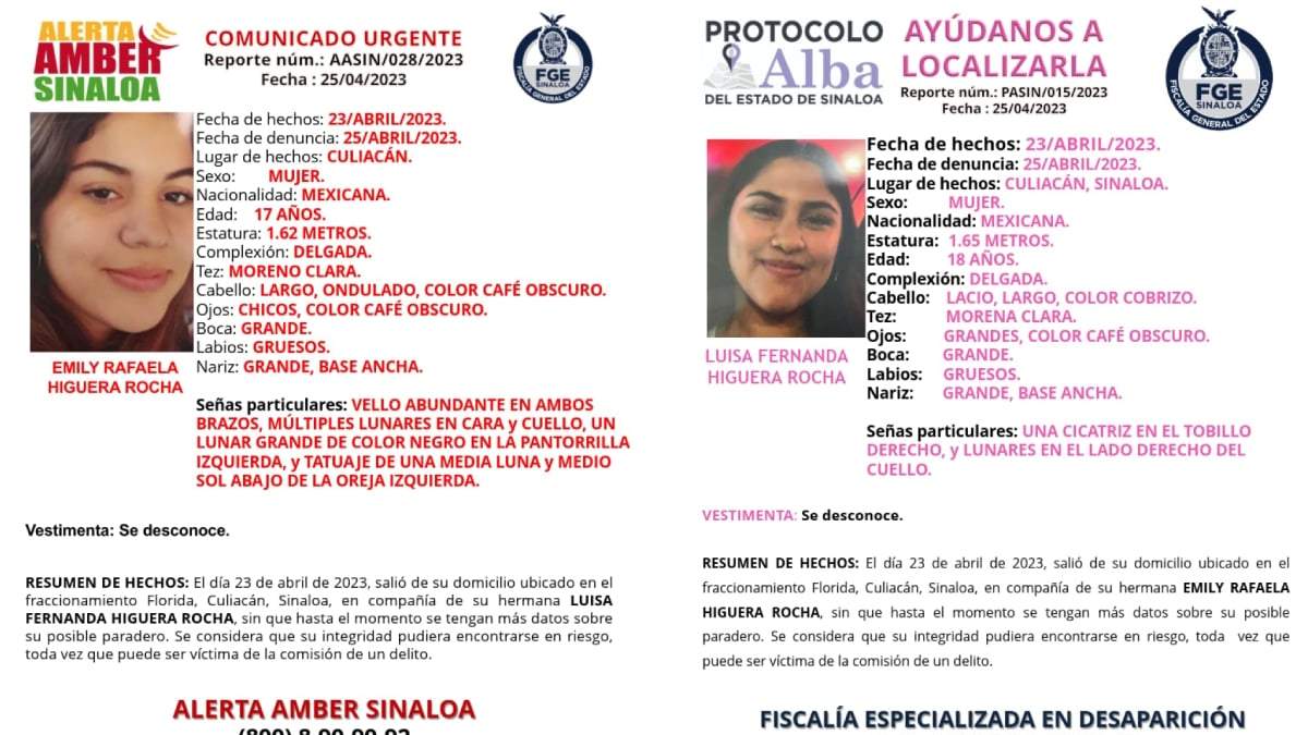 Fichas de búsqueda