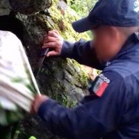 La PF asegura 100 kilos de goma de opio en Chilpancingo