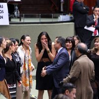 PRI cierra las puertas a expertos internacionales al aprobarse Ley de Víctimas