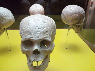 Cráneos prehispánicos esgrafiados