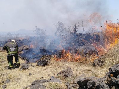 Los incendios forestales de 2021 generaron mil 760 megatoneladas de emisiones de carbono