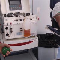 Se superaron las 200 donaciones de plasma en la provincia de Neuquén