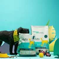 No tires las bolsas de alimento de tu mascota: transformalas en esta maceta súper resistente para tu jardín