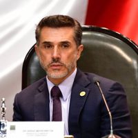Demandarán a Sergio Mayer por tráfico de influencias en el caso de Héctor Parra y Ginny Hoffman