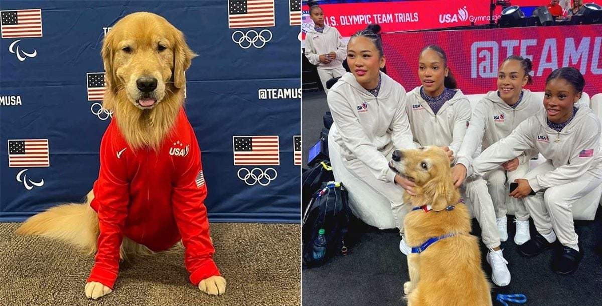 Beacon, el perro de terapia del equipo de gimnasia de Estados Unidos