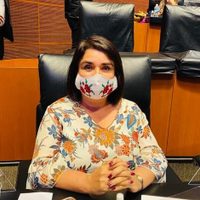 Morenistas impulsan reformas para impedir restricciones a la libre expresión en Internet