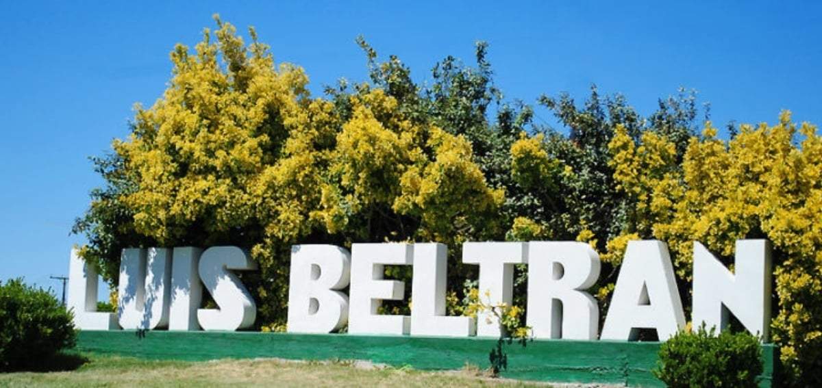 Beltrán. Fuente: (Twitter)