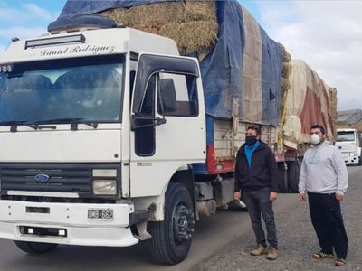 Villa Pehuenia y Moquehue: distribuyeron 1800 fardos de pasto