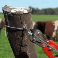 La Sociedad Rural del Neuquén renueva su preocupación ante hechos de inseguridad