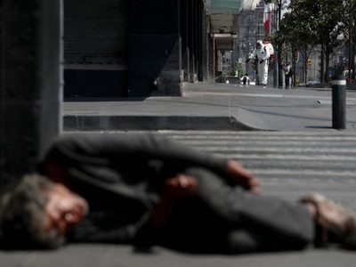 El estado de bienestar y la conservación ambiental