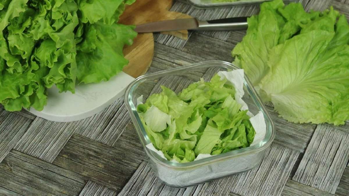 Lechuga. Fuente: (X)