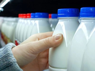 Con una botella de leche y esta idea súper sencilla, creá la maceta nórdica más elegante y chic para la deco de tu hogar
