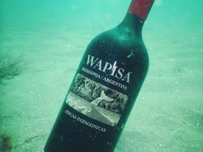 Destaparon la primera botella de la cava submarina en Las Grutas