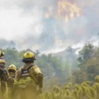 Afirman que los incendios forestales en la cordillera neuquina están bajo control