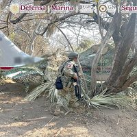 Aseguran avioneta con más de media tonelada de cocaína en el Istmo de Tehuantepec