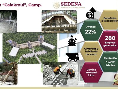 Filete en la selva y Silencio de las instituciones protectoras