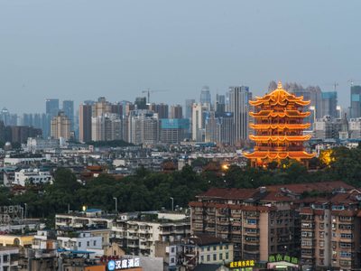 Finalmente, la comisión investigadora sobre el origen del coronavirus llegará a China: cuándo será