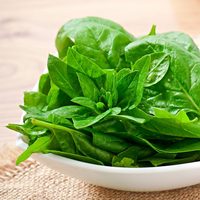 Cómo sembrar una planta de espinaca en macetas y disfrutarla en tu cocina sin gastar en el supermercado
