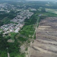 Denuncian a Pemex por limpiar terrenos donde AMLO planea construir una refinería