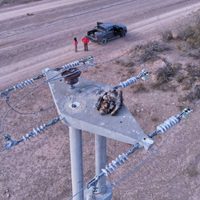 Alerta por electrocución: estudio revela que 150 aves de rapiña murieron en tendidos