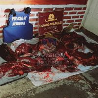Secuestraron truchas y ciervos faenados en un operativo policial y de Guardaparques