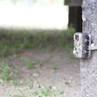 Instalaron cámaras con detección de movimiento para hallar al puma en la Península Hiroki