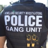 Mexicano bajo custodia del ICE muere en Florida por covid-19