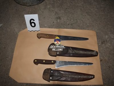 Robo y faena de animales en Buta Ranquil: decomisaron 141 kilos de carne
