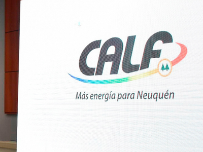 Se declaró como inadmisible la iniciativa popular que buscaba derogar la ordenanza de Calf