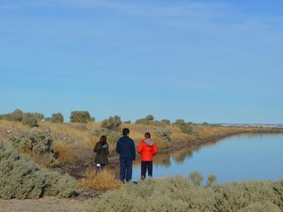 Extraño fenómeno en Chubut: por qué una laguna tiene ahora un color insólito