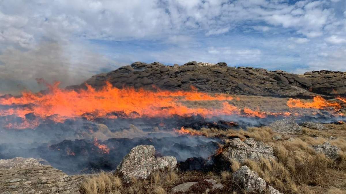 El incendio de Córdoba continúa sin ser controlado. Fuente: (X)
