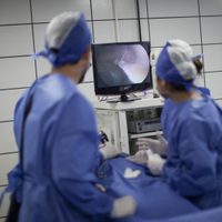 El mundo digital en el que vivimos