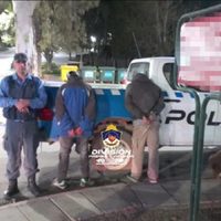 Los atraparon in fraganti robando en un comercio de Centenario al que ingresaron por los techos
