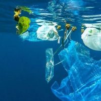 GloLitter, el proyecto para disminuir la basura marina en el mundo