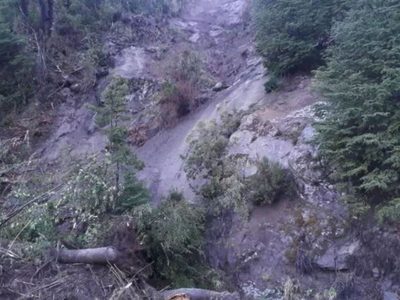 “Se están talando árboles como nunca antes en la historia de Villa La Angostura”