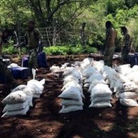 Marinos decomisan 10 toneladas de droga en la sierra de Sinaloa