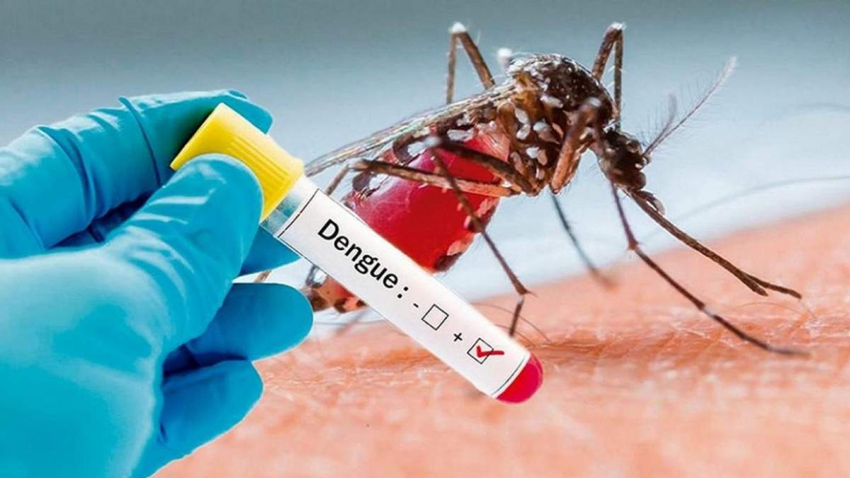 Dengue. Fuente: (Twitter)