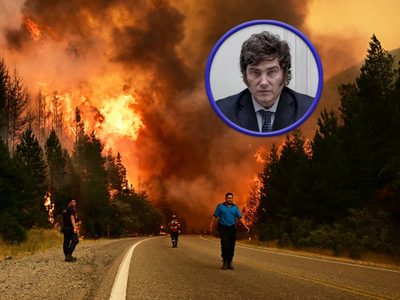 El mensaje de Javier Milei en medio de los incendios forestales en la Patagonia