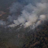 Se extiende el incendio en el bosque La Primavera; el humo llega a Zapopan