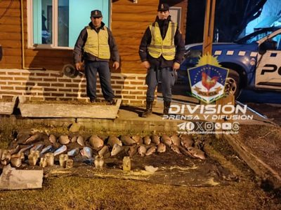 Pesca furtiva: secuestraron 30 piezas de truchas en Nahuel Huapi