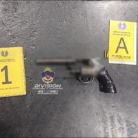 Un operativo de la policía de Neuquén terminó con dos menores aprehendidos