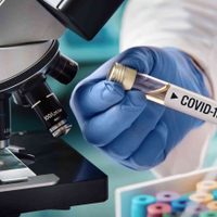 ¡A cruzar los dedos! La universidad de Oxford prueba la vacuna del coronavirus en humanos
