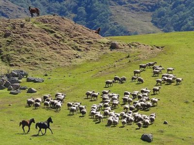 Cómo evolucionará el turismo Rural en Argentina post coronavirus