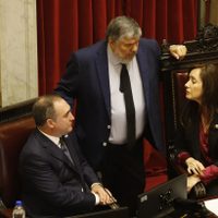 Sesión clave en el Senado para el Garrahan y universidades