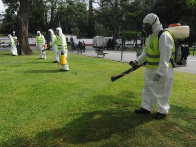 La Provincia de Buenos Aires confirmó casi 100 casos de dengue